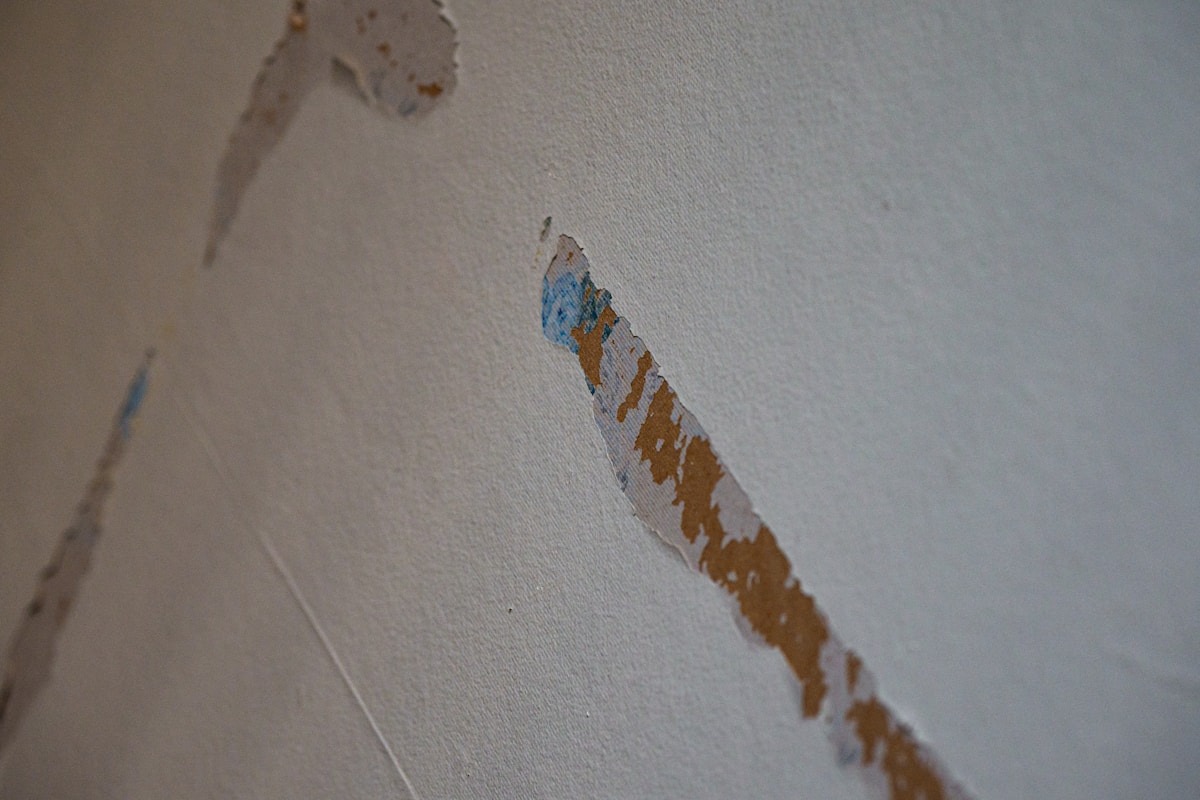 Sewage Cleanup service in Lowell, MA